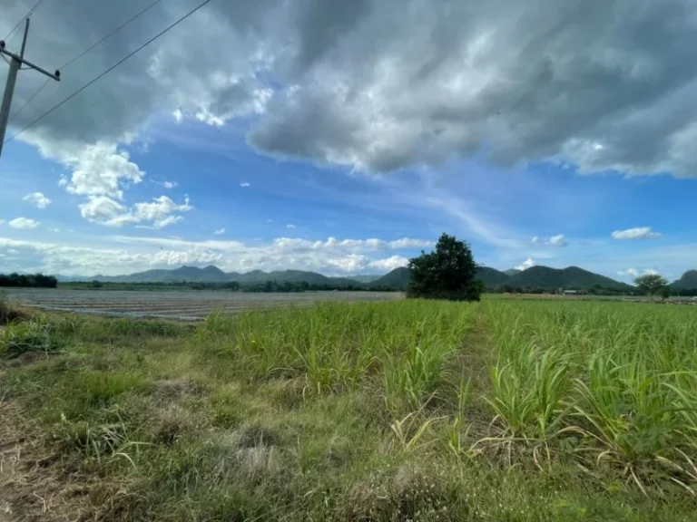 ขายด่วน ที่ดินทำเลสวย ติดแม่น้ำแคว อเมืองกาญจนบุรี