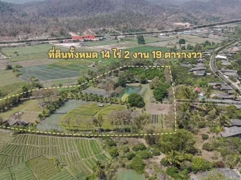 ขายกิจการรีสอทร์วิวดอยพร้อมบ้านพักเชียงดาวโฉนดพร้อมโอน