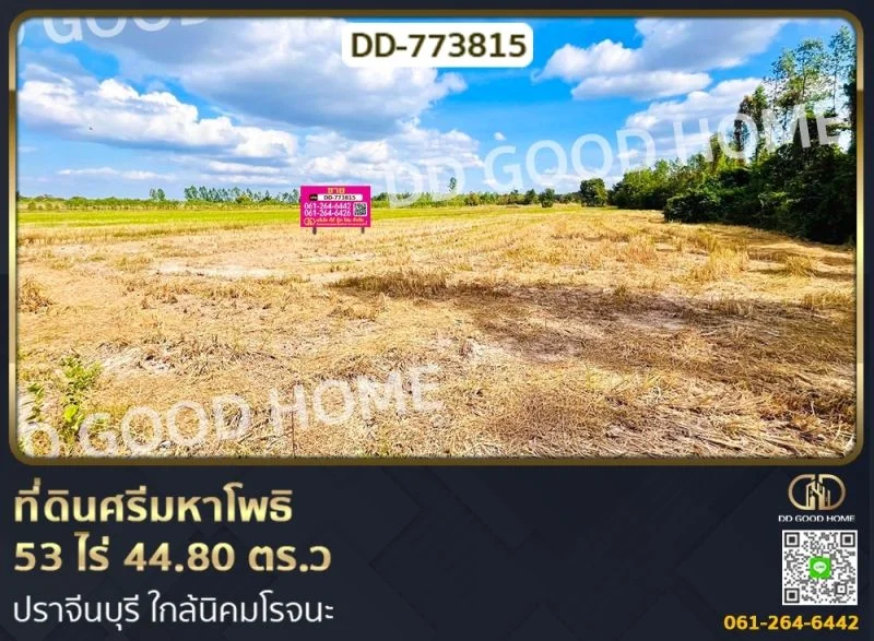 ที่ดินศรีมหาโพธิ 53 ไร่ 44.80 ตร.ว ปราจีนบุรี ใกล้นิคมโรจนะ