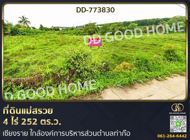 ที่ดินแม่สรวย 4 ไร่ 252 ตร.ว. เชียงราย ใกล้องค์การบริหารส่วน