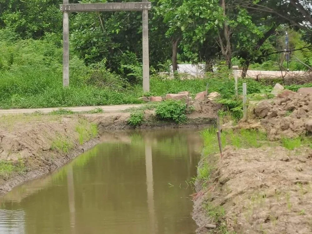 ขายที่ดินท่าวังตาลสารภีใกล้เมืองติดลำเหมืองโฉนดพร้อมโอนราคาถ