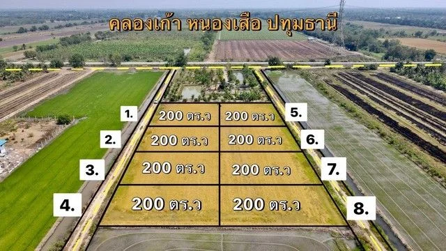 ขายที่ดินบึงบา หนองเสือ 200 ตรว. คลอง 9 ใกล้ถ.เส้นปท.4001 –