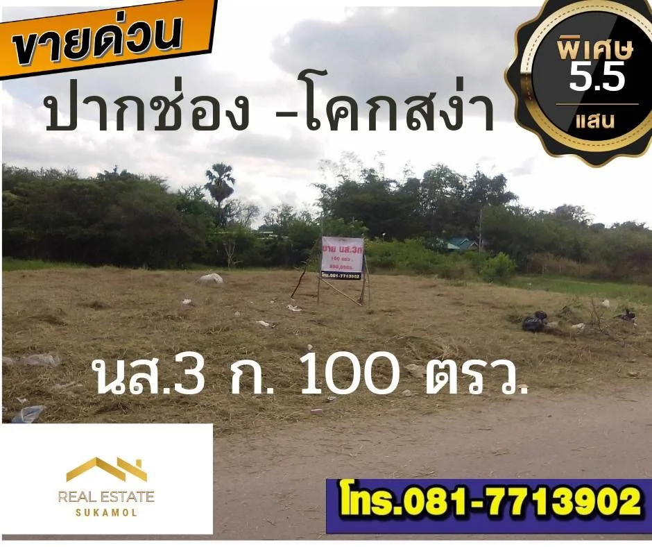 ที่ดิน นส.3 ก.ตัวเมืองปากช่อง เทศบาล 38 (โคกสง่า ซ.10)