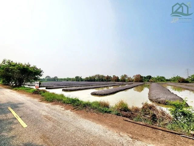 ขายที่ดินคลอง 12 หนองเสือ 14 ไร่ ติดถนนลาดยางในซอย