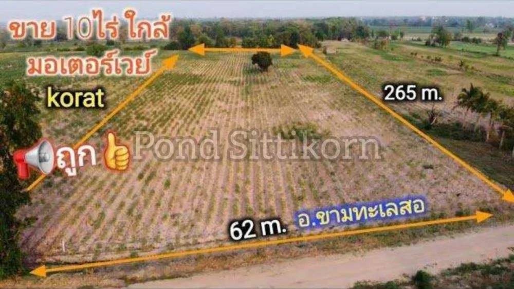 ขายที่ดินถูกกว่าชาวบ้าน 10 ไร่ 2,500000 บ. | บึงอ้อ