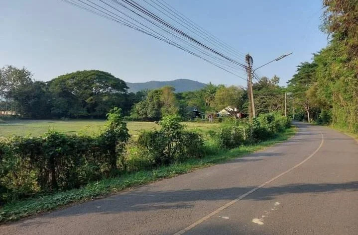 ขายที่ดินติดถนนลาดยางลวงเหนือดอยสะเก็ตติดถนนพร้อมโอน