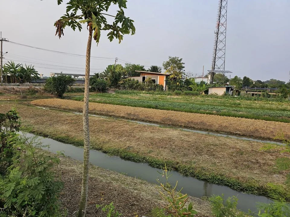 ขายที่ดินสวยติดถนน ต.บ้านใหม่ นนทบุรี 1,012 ตรว. ราคาขาย