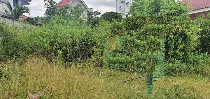 ขายที่ดินติดถนนคอนกรีตบ้านแหวนหางดงถมดินเรียบร้อยพร้อมโอน