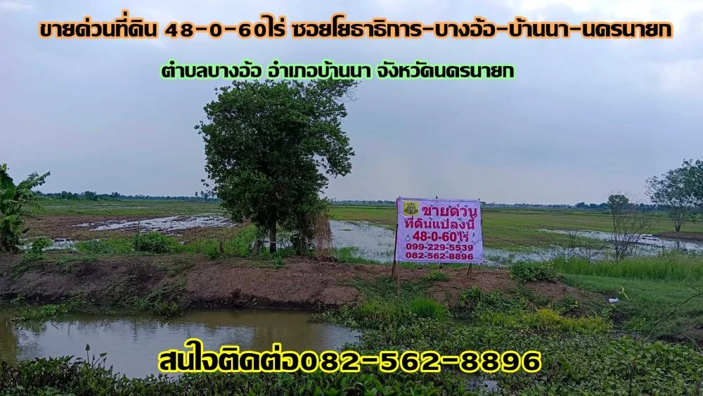 ขายด่วนที่ดิน 48-0-60ไร่ ซอยโยธาธิการ-บางอ้อ-บ้านนา-นครนายก