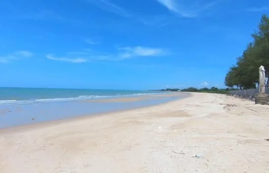 ที่ดินติดทะเลปึกเตียนหาดเพชร555ตรว. หาดทรายชายทะเลสวย