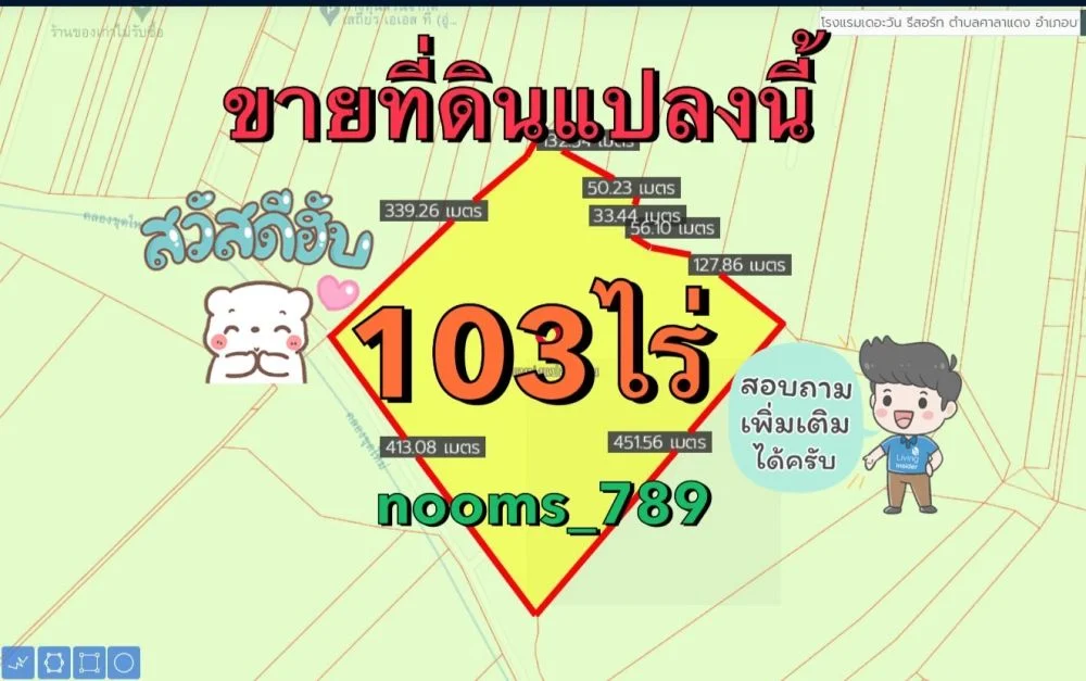 ขายที่ดิน ติดทรัพย์ขายเอง ที่ดินเปล่า 103-0-96 ไร่