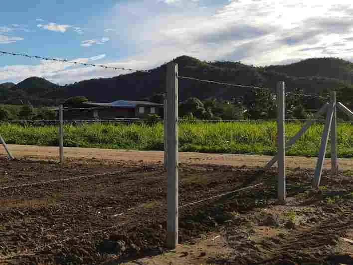 ขายที่ดิน พื้นที่เกษตรกรรม ติดถนนลาดยาง แถมล้อมรั้ว