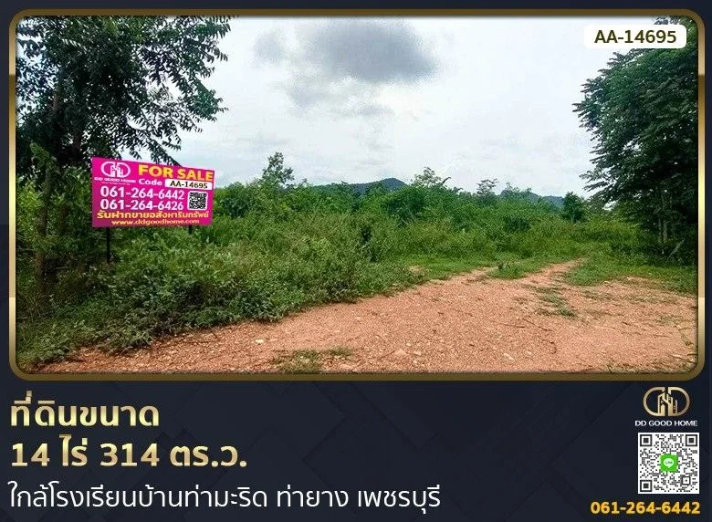 ที่ดินขนาด 14 ไร่ 314 ตร.ว. ใกล้โรงเรียนบ้านท่ามะริด ท่ายาง