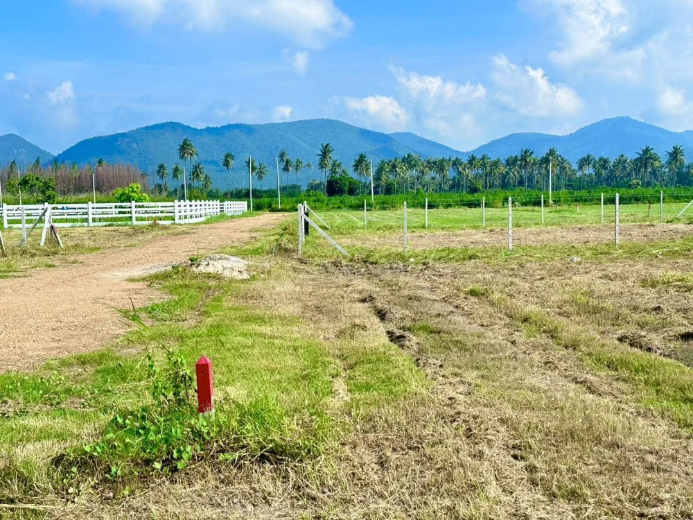 ขายที่ดิน วิวเขา พุหวายวิว 100 ตรว. เขต ชะอำ เพชรบุรี