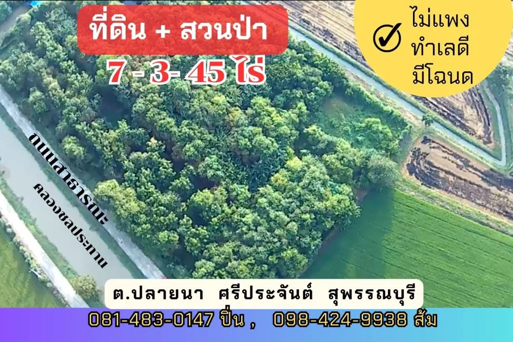 ที่ดิน พร้อมสวนป่า 7 ไร่ 3 งานกว่า บ้านรางหางม้า ต.ปลายนา