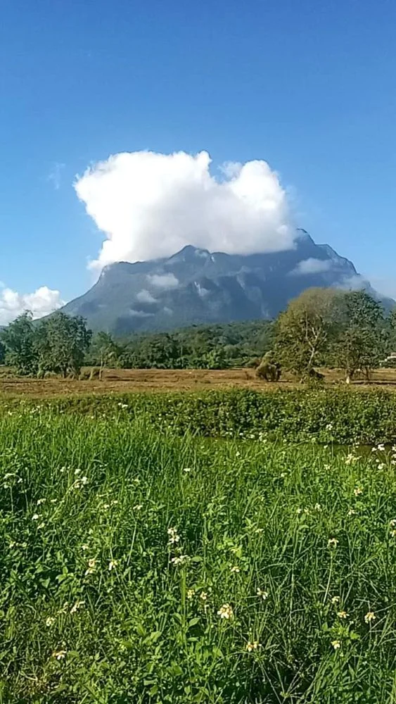 ขายที่ดินเชียงดาวบ้านทุ่งละครวิวดอยหลวงชัดเจนพร้อมโอน