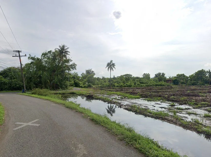 ขายที่ดินบางแก้ว แปดริ้ว 9 ไร่ ซอยวัดสัมปทวนนอก ติดถนนลาดยาง