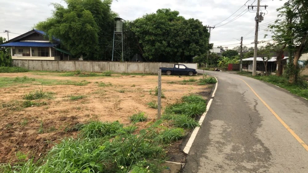 ขายที่ดินติดถนนลาดยางค้าขายได้หนองผึ้งสารภีโฉนดพร้อมโอน