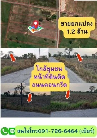 ขายด่วน ที่ดินสวย ตำบลสะเเก อำเภอสตึก ตจังหวัดบุรีรัมย์