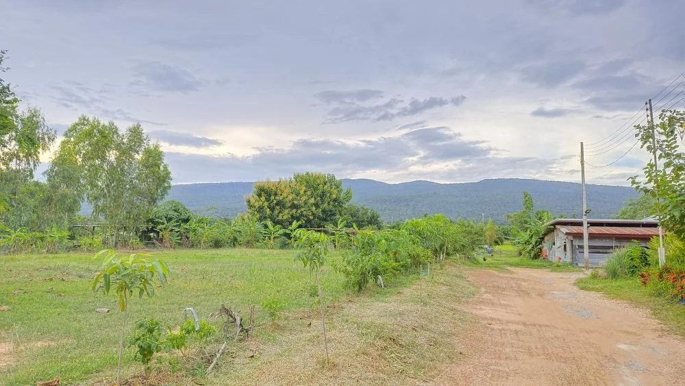 ขายที่ดินวิวภูเขา พร้อมสวนผลไม้ อากาศดีวิวธรรมชาติ