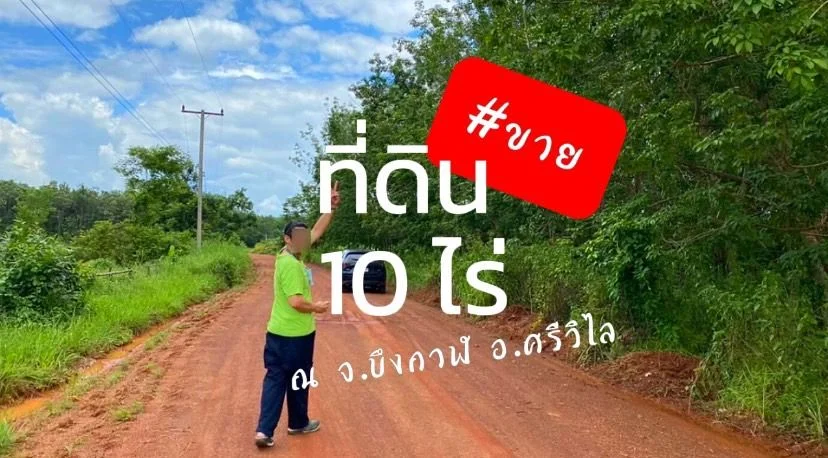 ขาย ที่ดิน อยู่ใกล้แหล่งชุมชน ศรีวิไล 10 ไร่ 8 งาน