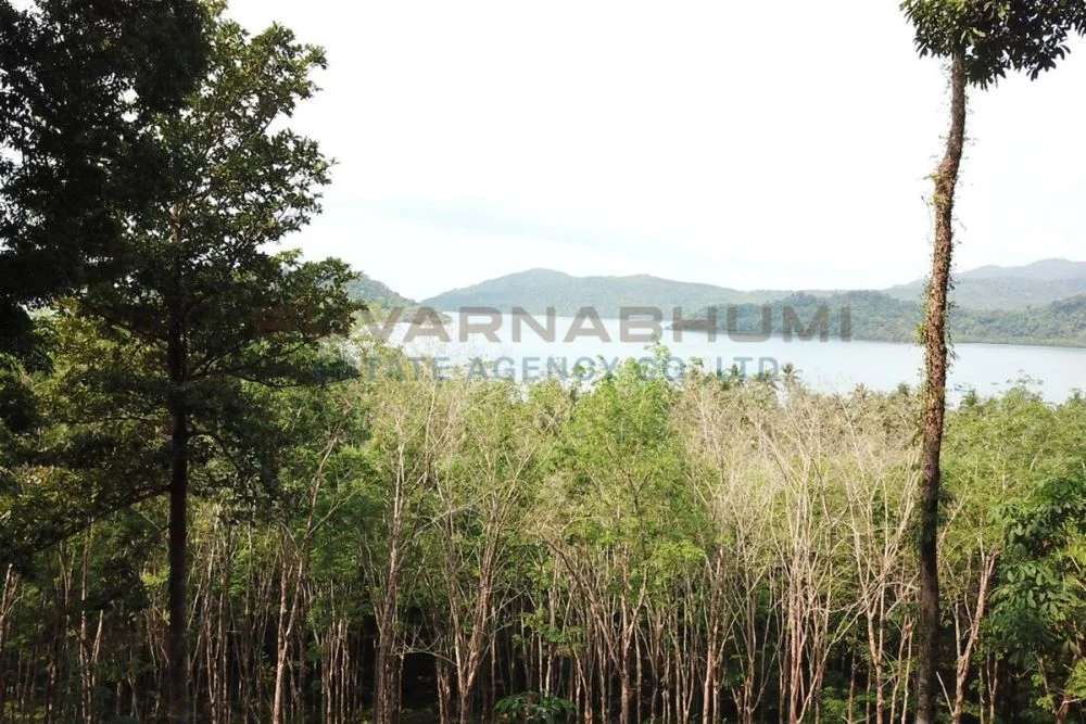 ที่ดิน บ้านเจ๊กแบ้ เกาะช้าง ตราด (Land on Ban Chek Bae, Koh