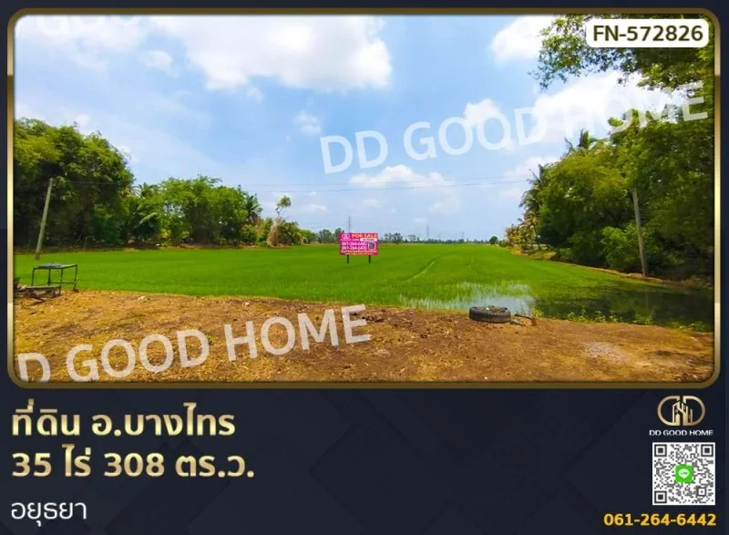 ที่ดิน อ.บางไทร 35 ไร่ 308 ตร.ว. อยุธยา ติดถนนสาธารณะ