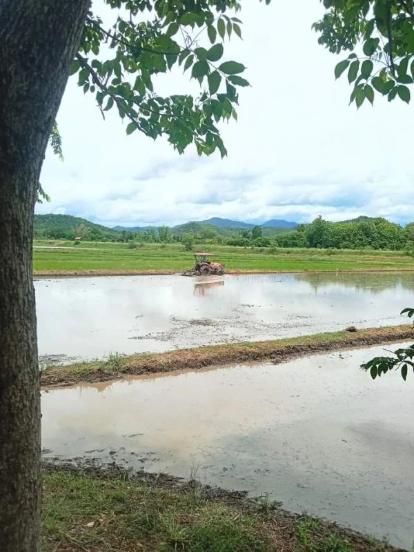 ที่ดินแปลงสวย หน้าติดถนนสายหลัก หลังติดคลอง อุตรดิตถ์