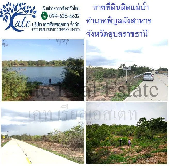 ขายที่ดินพิบูลมังสาหาร จังหวัดอุบลราชธานี