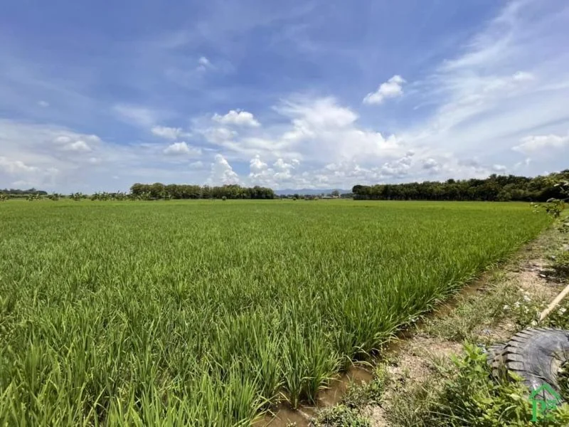 ขายที่นาวิวสวยสันโป่งแม่ริมวิวท้องนาโฉนดพร้อมโอน