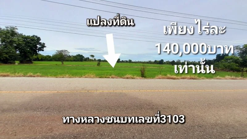 ที่ดินราคาดีกว่าใครในย่านนี้ติดถนนลาดยางไร่ละ140000