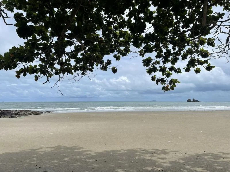 ขายที่ดินบ้านกร่ำเนื้อที่ 57 ตรว. ติดหาดแหลมแม่พิมพ์เดินเพีย