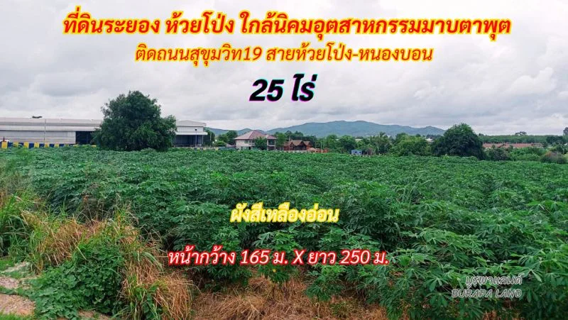 ขายที่ดินระยอง ห้วยโป่ง 25 ไร่ ติดถนนสุขุมวิท 19