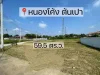 ขายที่ดินบ้านหนองโค้งตำบลต้นเปาสันกำแพงโฉนดพร้อมโอน