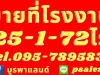 ขายที่ดิน ซอย11 นิคมพัฒนาระยอง เนื้อที่ 25-1-72 ไร่ ตมะขามคู่ อนิคมพัฒนา จระยอง ไร่ละ 2500000ต่อรองได้ โทร095-7895