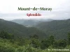 Mount-de-Moray แบ่งขายที่ดินสวยพัฒนาอย่างดี บนที่เนินเขาสูงกว่า 450 เมตร ระดับน้ำทะเล แบ่งขายเหลือเพียง 3 แปลงเท่านั้น