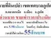 ขายที่ดินอำเภอเมือง จภูเก็ต ขนาด 2 ไร่ 1 งาน 196 ตารางวา ราคา 55 ล้านบาท ขายต่ำกว่าราคาประเมิน ค่าโอนคนละครึ่ง