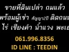 ขายที่ดินเปล่าถมแล้วพร้อมผู้เช่าสัญญา2ปีติดถนน6ไร่เชียงคำน้ำแวงพะเยา