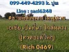 ขายที่ติดถนนใหญ่สายเอเชีย เป็นที่นา ใกล้หลวงปู่ทวดองค์ใหญ่ Rich 0469เก้า