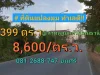 ขายที่ดินแปลงมุม 399 ตารางวา ใกล้ถนน 346 ติดถนนลาดยางเทศบาล 2 อำเภอ ลาดหลุมแก้ว ปทุมธานี