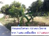  ที่ดินสวย ทำเลทอง R าค านี้หายาก ต หนองบัวศาลา อเมือง จ นครราชสีมา 100 ตรว เพียง 670000 บาท