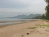 ขายที่ดิน 8ไร่ ติดทะเล หาดบางสน จ ชุมพร