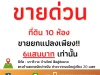 ขายที่ดินยกแปลง10ห้อง