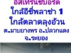 ขายที่ดิน 12 ไร่ ใกล้นิคมอุตสาหกรรมอีสเทิร์นซีบอร์ค ใกล้อีซี่พลาซ่า 1ใกล้ตลาดลุงอ้วน ตมาบยางพร อปลวกแดง จระยอง