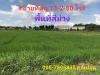 ขายที่ดินทำเลทองนิคมโรจนะอยุธยาผังสีม่วง ขายถูกพิกัด ตอุทัย ออุทัย จอยุธยาพื้นที่สีม่วง