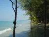 BEACHFRONT LARGE LAND SALE WITH CHANOTE TOURIST SOURCE RAYONG