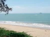  ขายที่ดินชายทะเล หาดแม่พิมพ์ โฉนด 4 ไร่