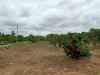 ขายที่สวนลำใยห่างถนนต้นยาง 500 เมตร สารภี