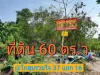 ขายที่ดินดอนเมือง 60 ตารางวา ถมแล้วทั้งแปลง ซอย โกสุมรวมใจ 37 แยก 16 เขต ดอนเมืองกรุงเทพมหานคร