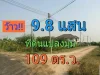 ขายที่ดินนครชัยศรี 109 ตารางวา แปลงมุม โครงการศาลายาการ์เด้น ลานตากฟ้านครปฐม